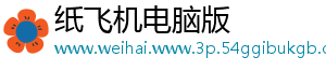纸飞机电脑版